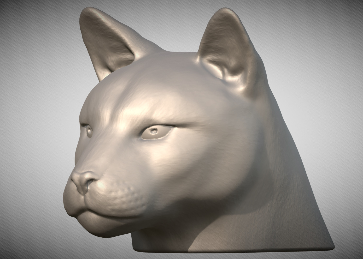 Cougar Mountain Lion head for 3D printing 3D print model_2