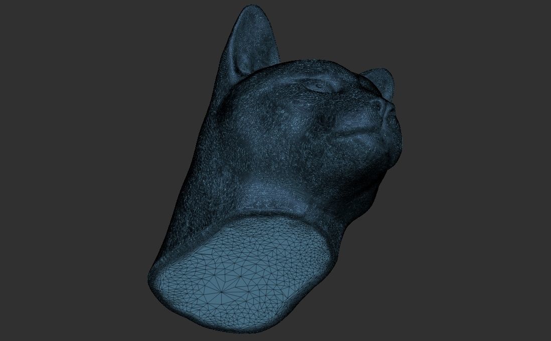 Cougar Mountain Lion head for 3D printing 3D print model_27