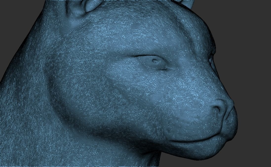 Cougar Mountain Lion head for 3D printing 3D print model_26