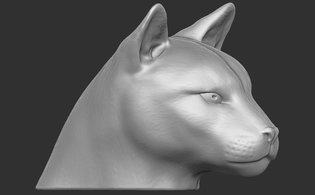 Cougar Mountain Lion head for 3D printing 3D print model_14