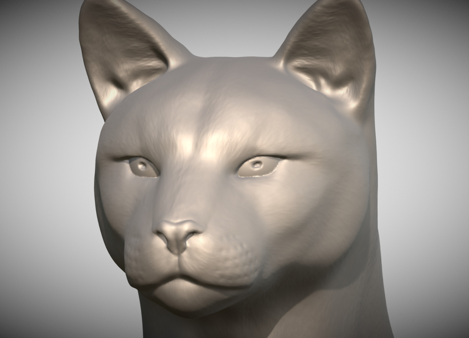 Cougar Mountain Lion head for 3D printing 3D print model_3