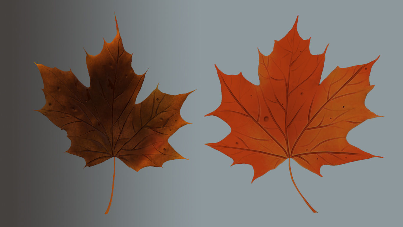 Plane tree leaves  Low-poly 3D model_3