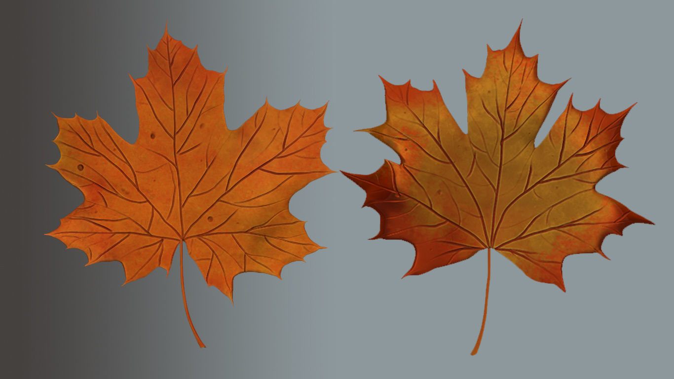 Plane tree leaves  Low-poly 3D model_4