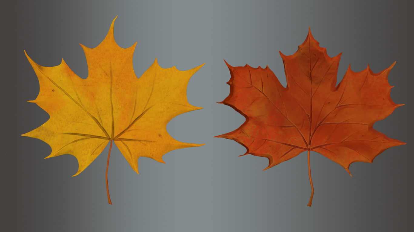 Plane tree leaves  Low-poly 3D model_6