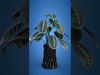 Modern vase for 3D printing 3D print model_1