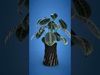 Modern vase for 3D printing 3D print model_3