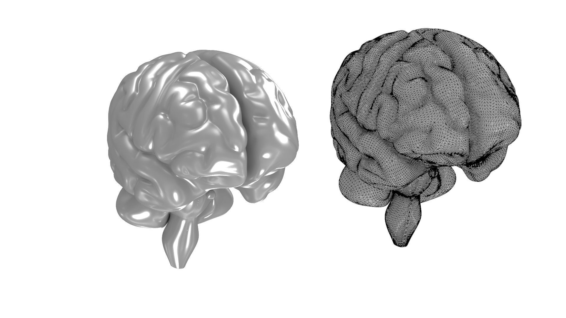 Printable Human Brain 3D print model_4
