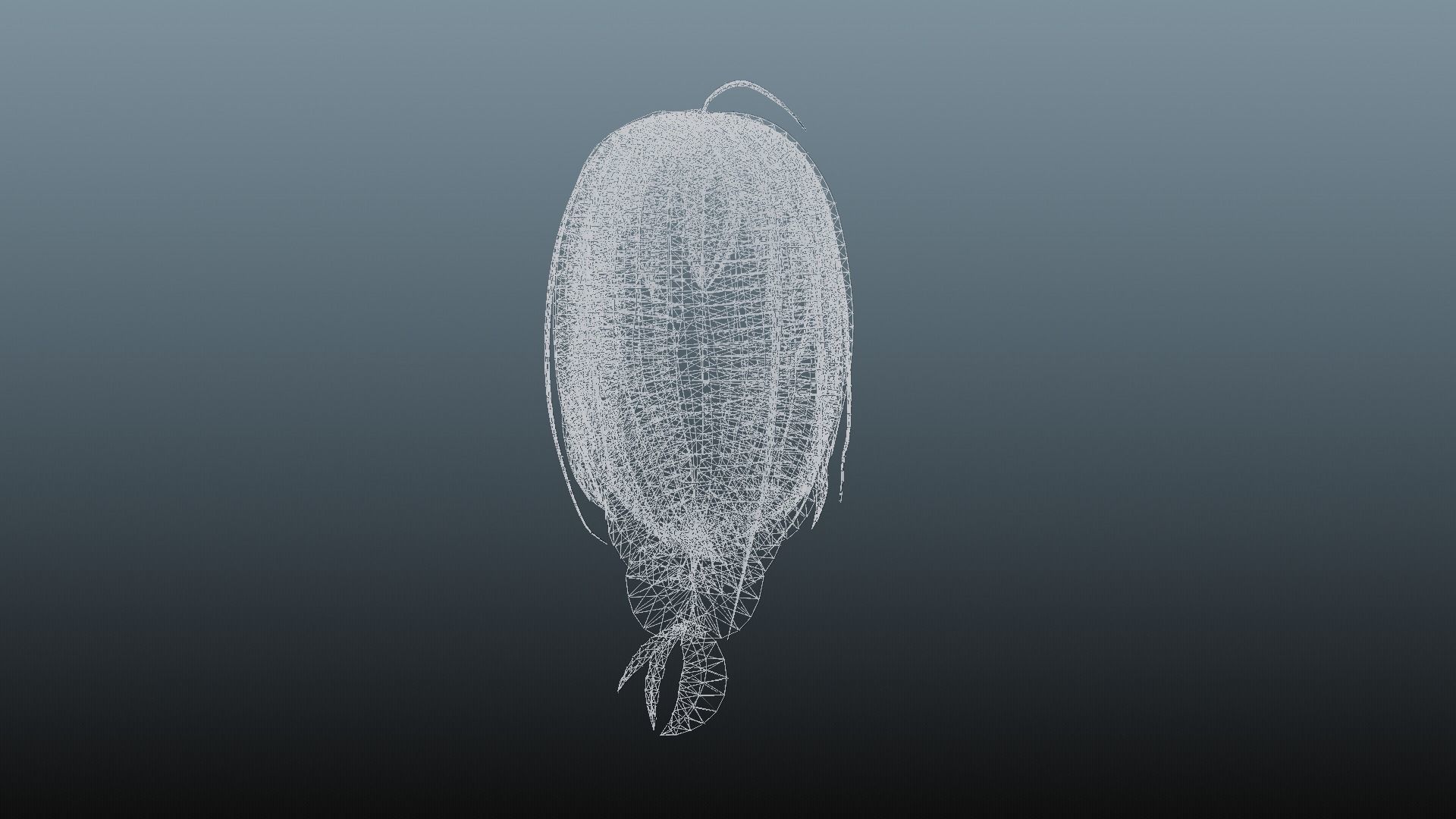 Female hair 4 colors Low-poly 3D model_12