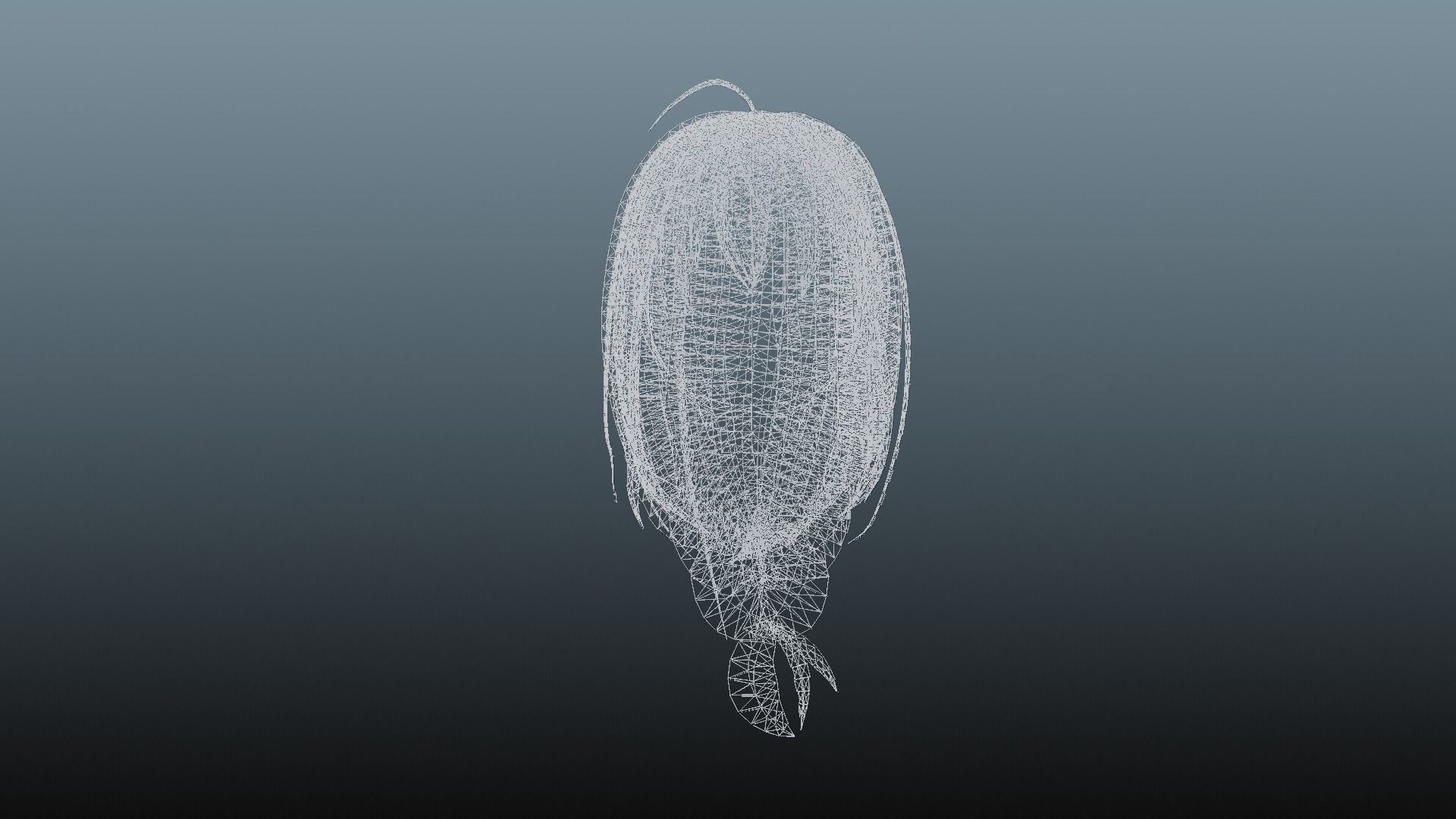 Female hair 4 colors Low-poly 3D model_13