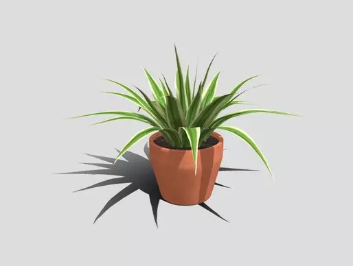 House Plant 01 3D Model Low-poly 3D model_0