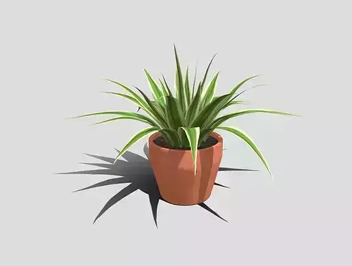 House Plant 01 3D Model Low-poly 3D model