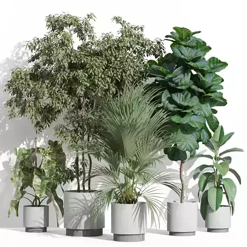 Plants collection 1002 3D model