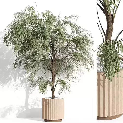 Plants collection 1003 3D model