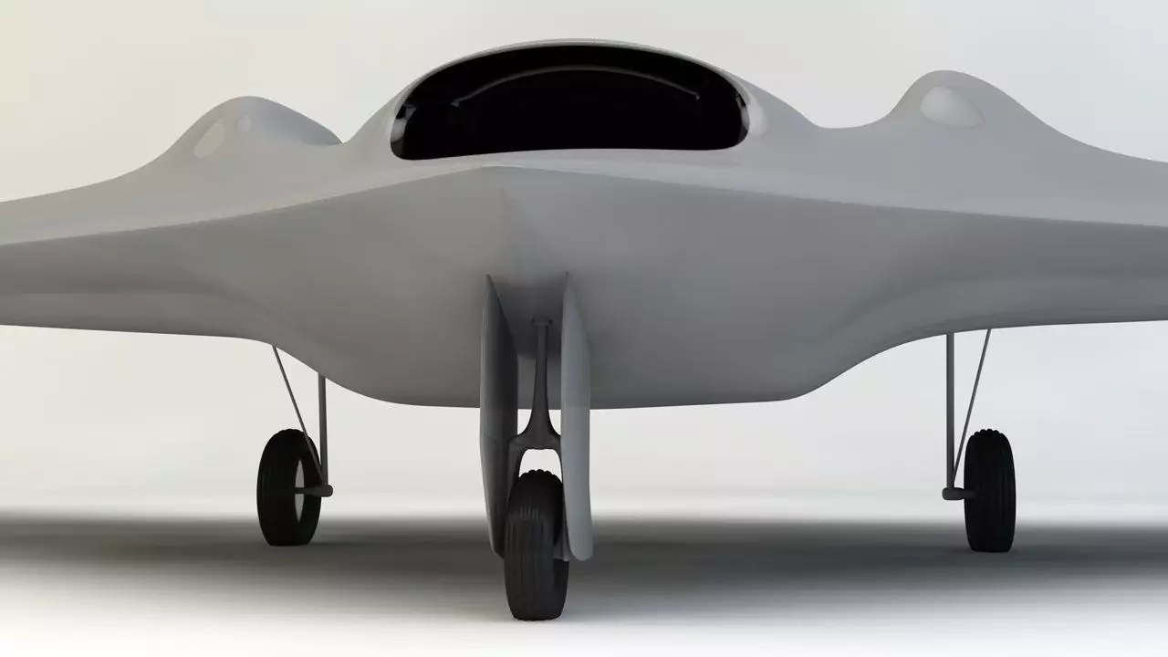 RQ170 Sentinel Drone 3D model_0