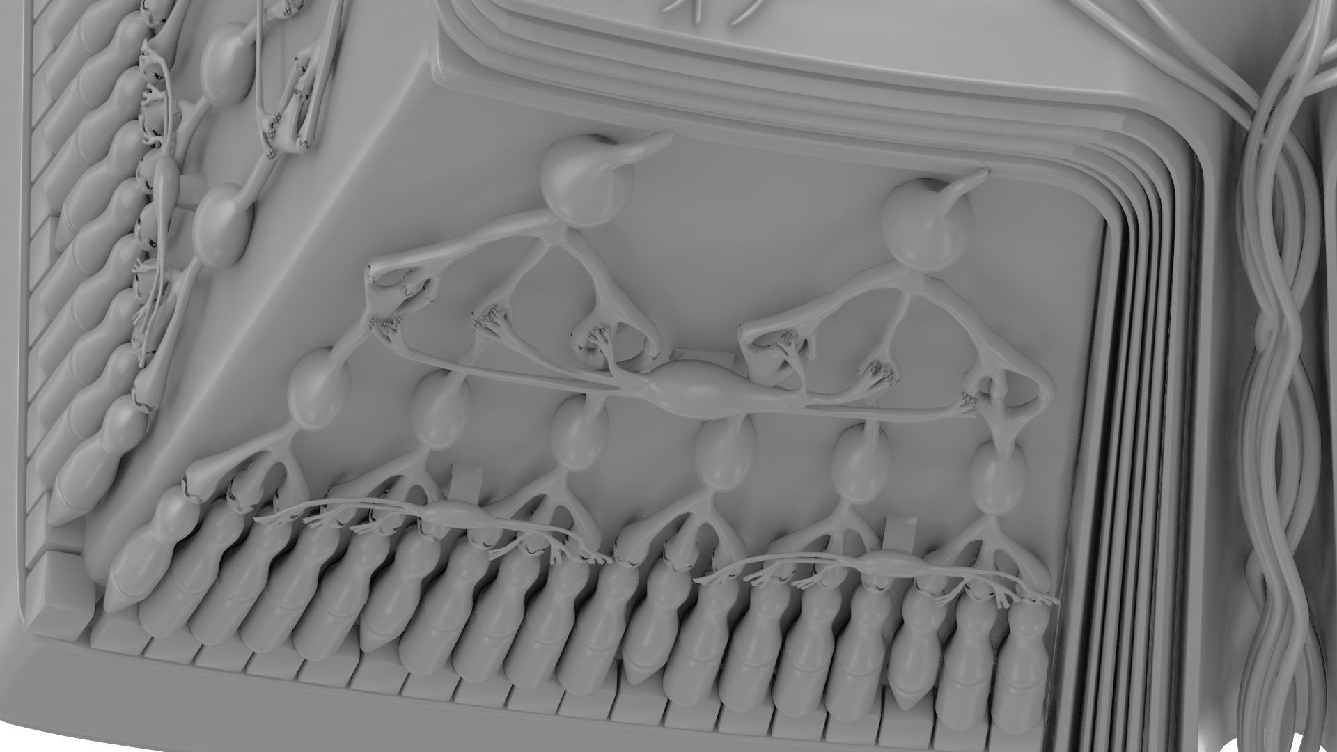 Retina Anatomy 3D print model_5