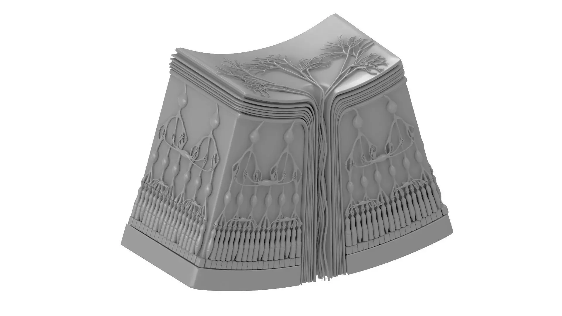 Retina Anatomy 3D print model_0