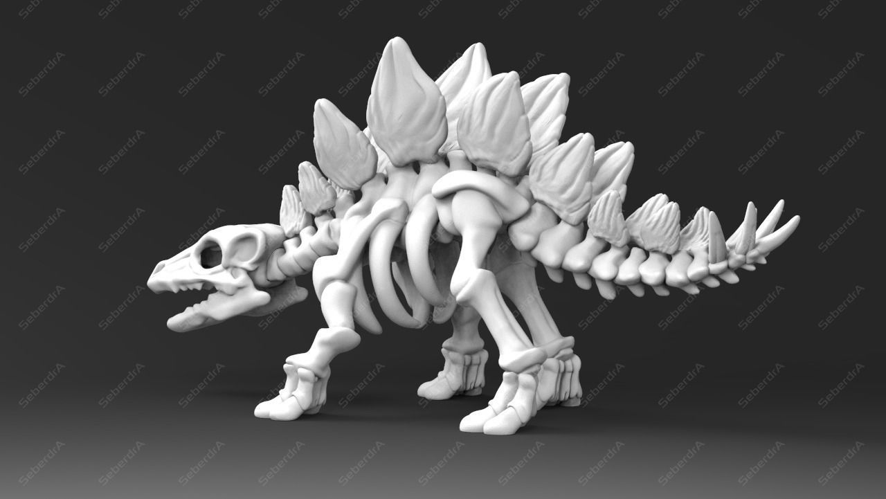 Cute Stegosaurus Skeleton STL for 3D print model 3D print model_3