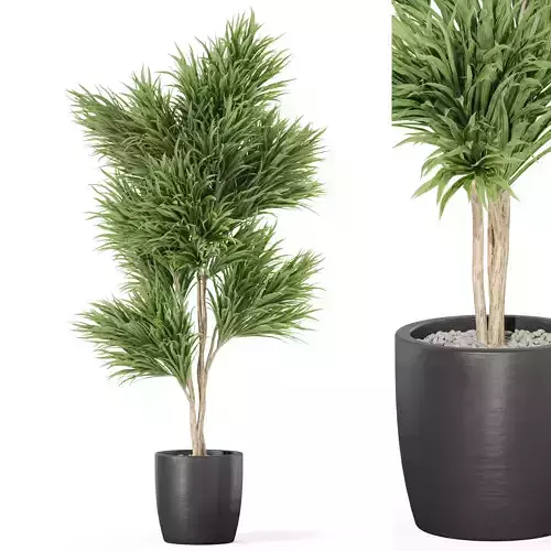 Plants collection 1006 3D model