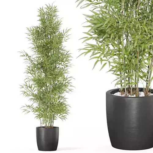 Plants collection 1008 3D model