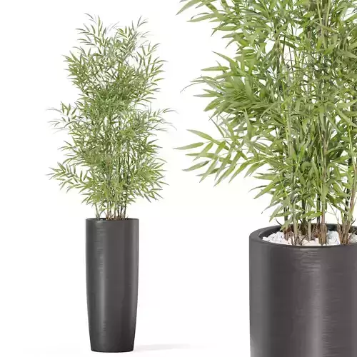 Plants collection 1009 3D model