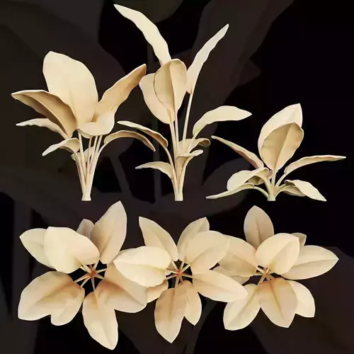 3dprint Plant 01 Strelitzia 3D print model