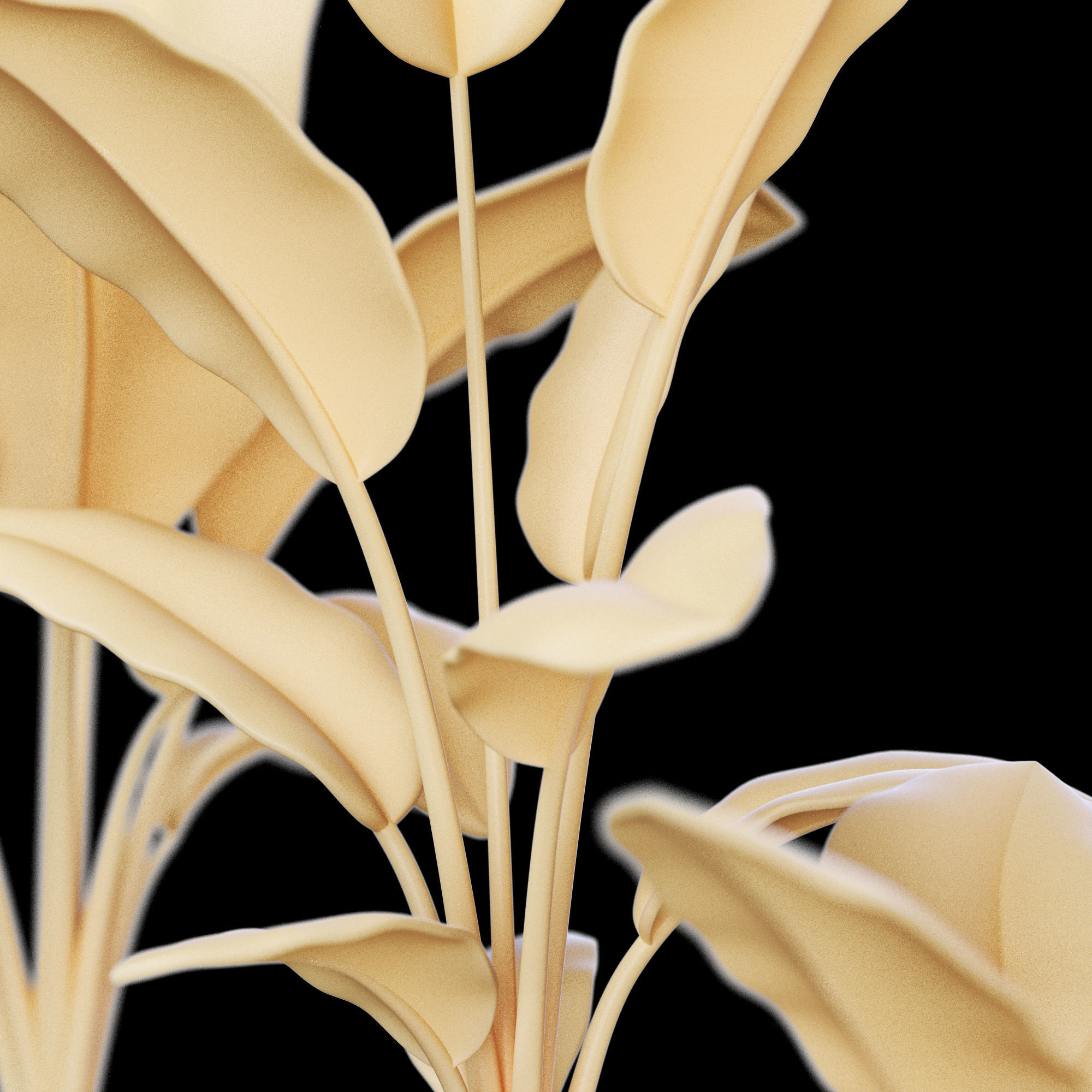 3dprint Plant 01 Strelitzia 3D print model_5