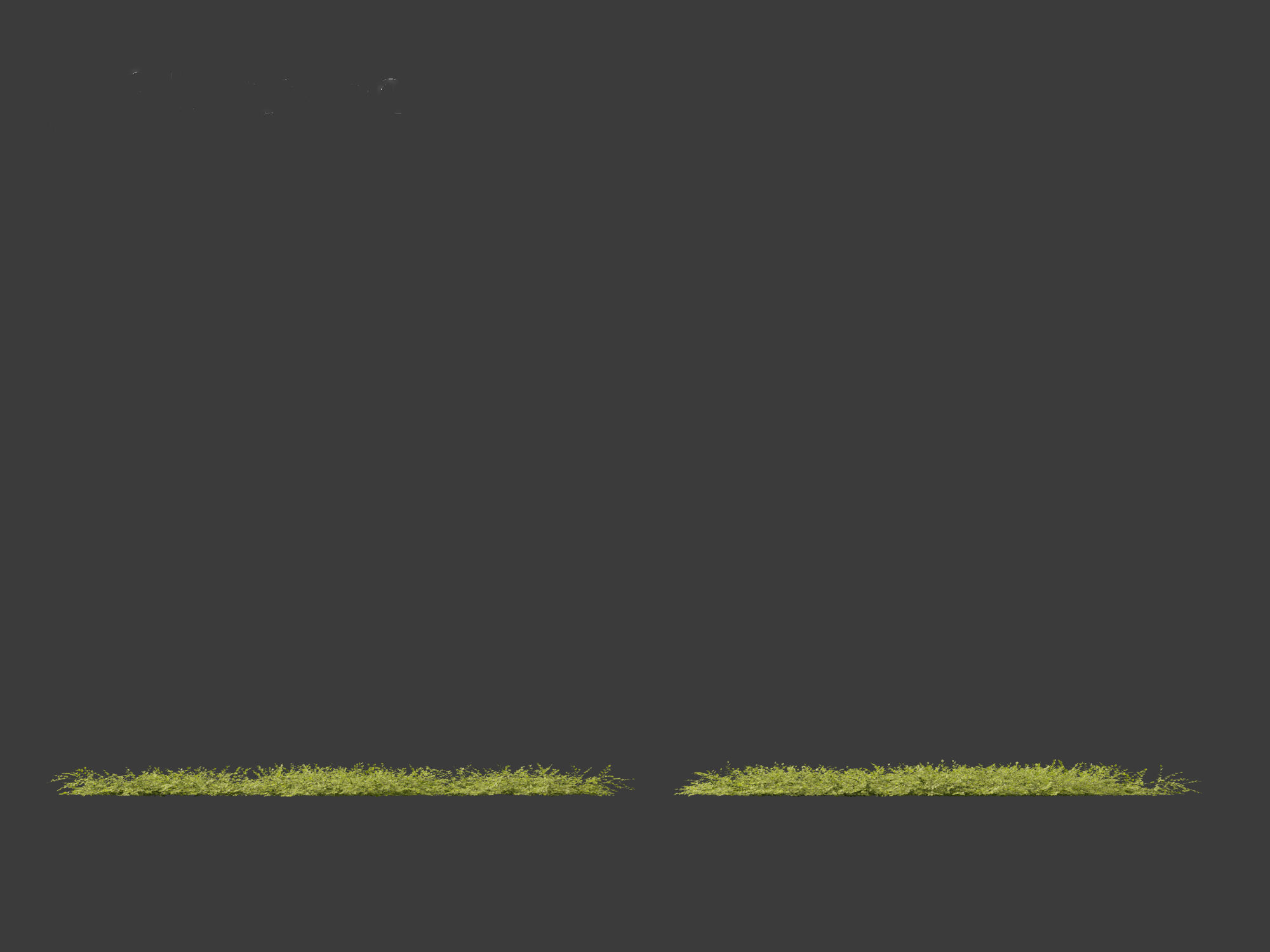 Isotoma fluviatilis - blue star creeper 3D model_5