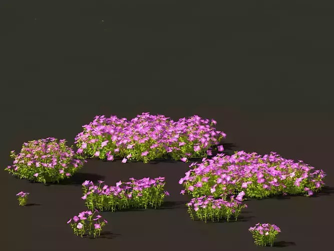 Vinca minor - Common Periwinkle 3D model