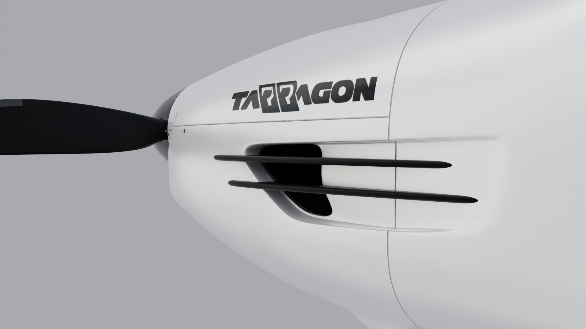 Airplane Pelegrin Tarragon 3D model_19