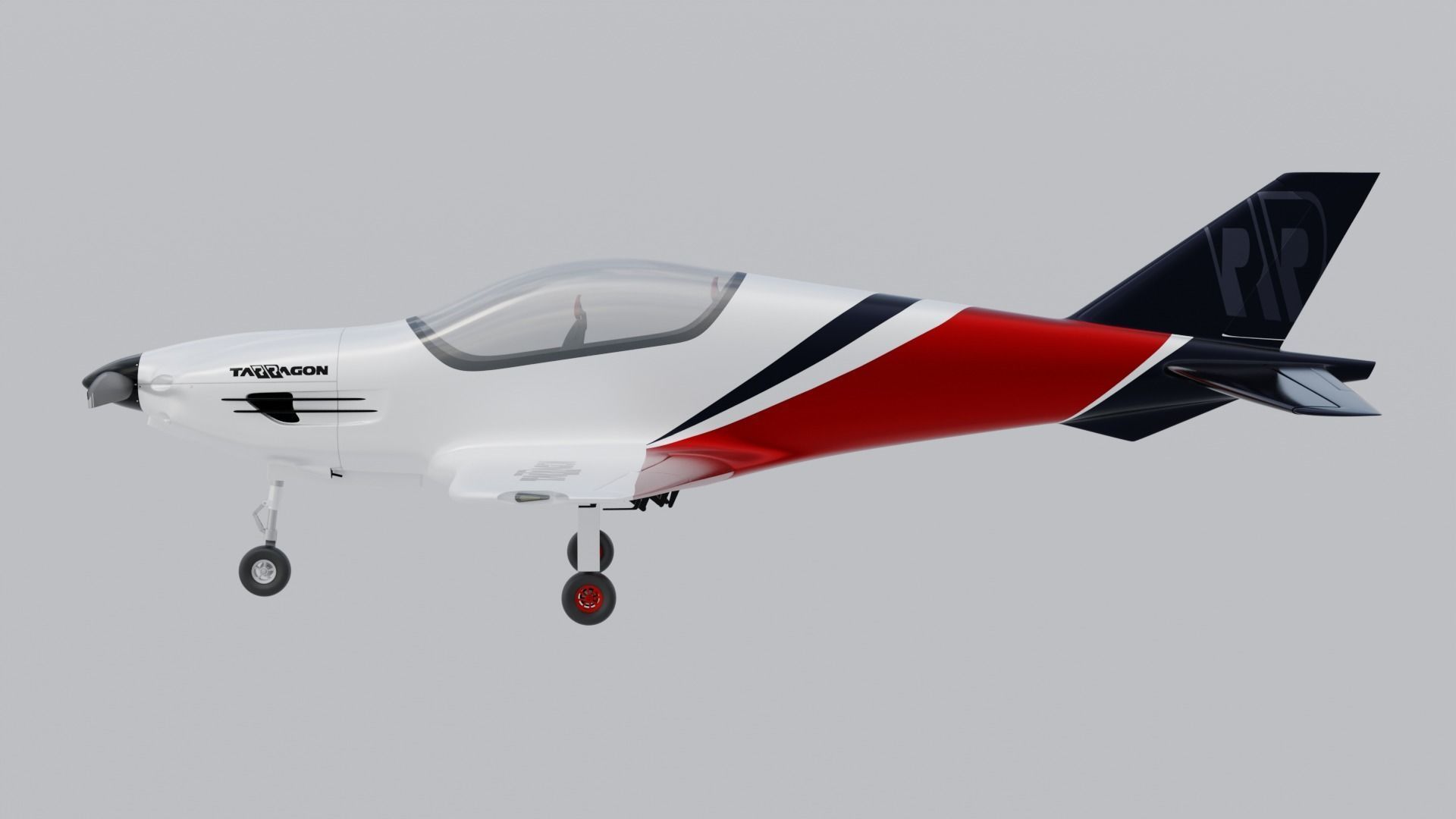 Airplane Pelegrin Tarragon 3D model_3