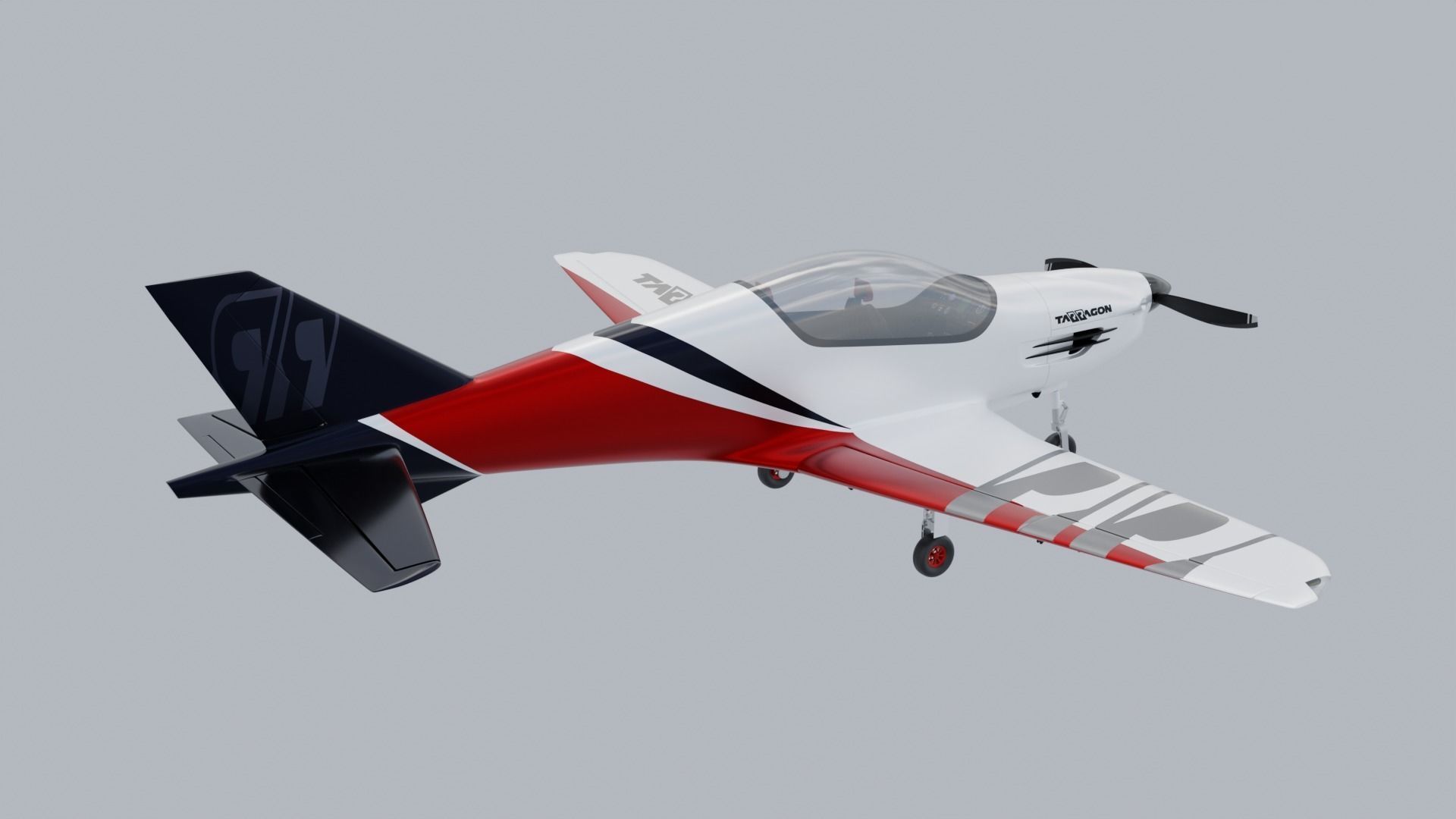 Airplane Pelegrin Tarragon 3D model_5