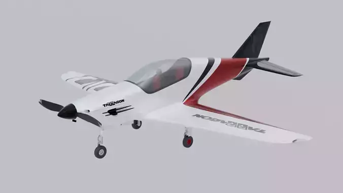Airplane Pelegrin Tarragon 3D model