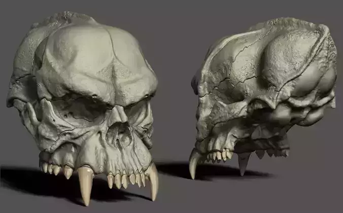 Detailed realistic Bug Bear Skull