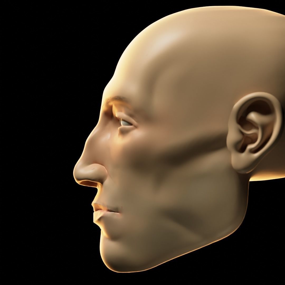 FREE Realistic Male Human 3D Model with clothes  Free low-poly 3D model_6