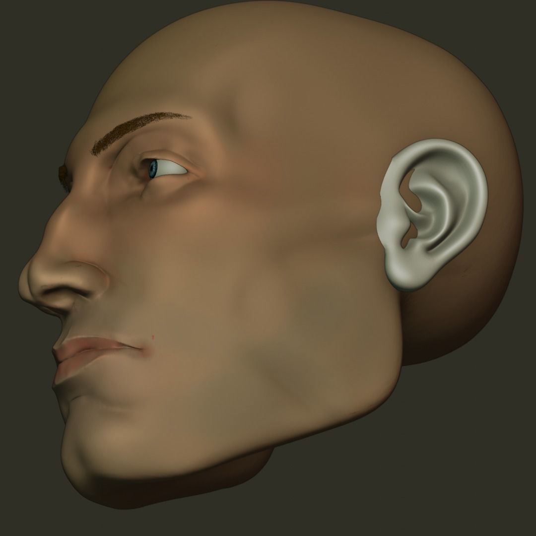 FREE Realistic Male Human 3D Model with clothes  Free low-poly 3D model_8