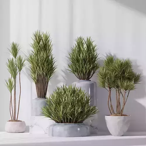 Yucca Elephantipes Gigantea Vase 007 3D model