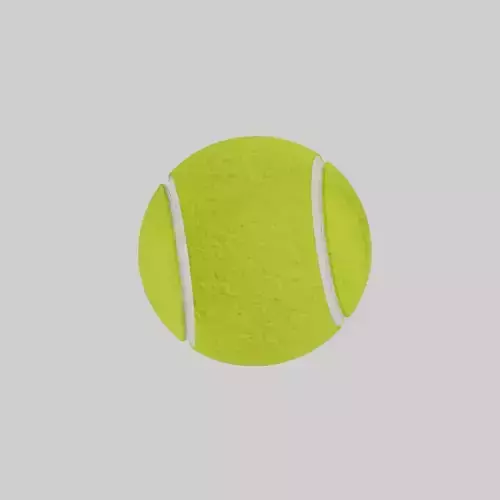 Tennis ball