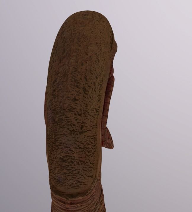 Alien ChestBuster Rigged Low-poly 3D model_5