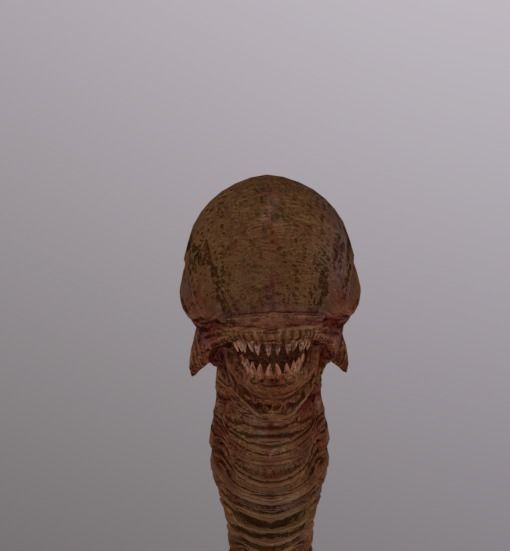 Alien ChestBuster Rigged Low-poly 3D model_2