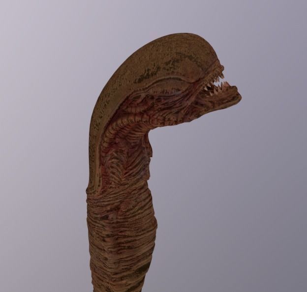 Alien ChestBuster Rigged Low-poly 3D model_3