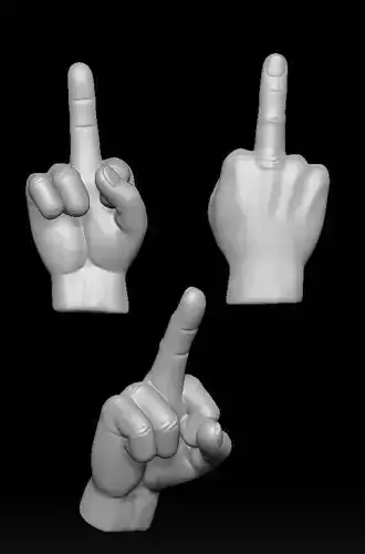 Middle Finger Model