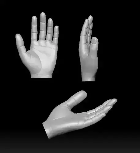 Open Hand Model 3D print model