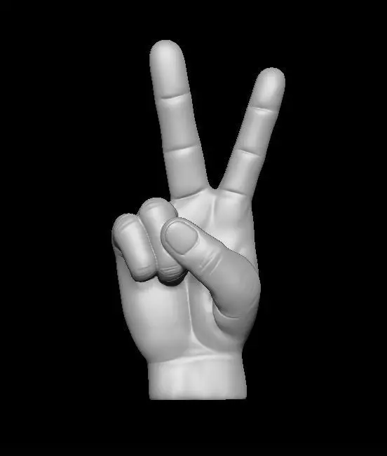 Peace Hand Model 3D print model_0