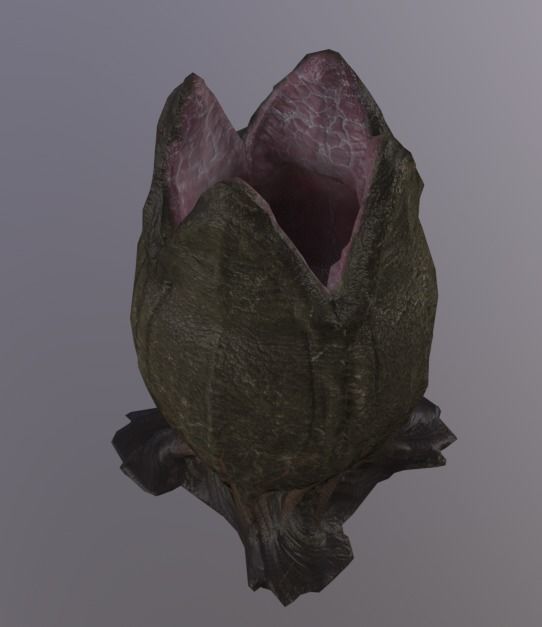 Alien Egg Rigged Low-poly 3D model_2