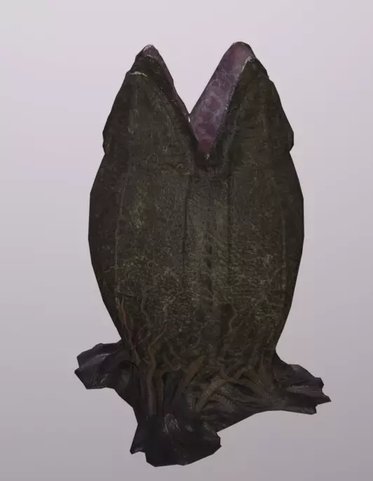 Alien Egg Rigged Low-poly 3D model_0