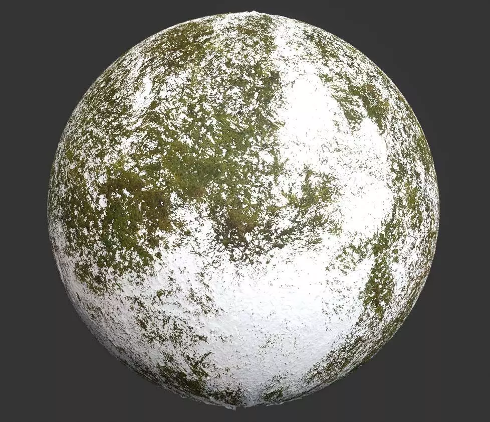 Fresh Snow Moss Pbr 4k Texture Texture