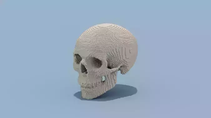 Voxel Skull