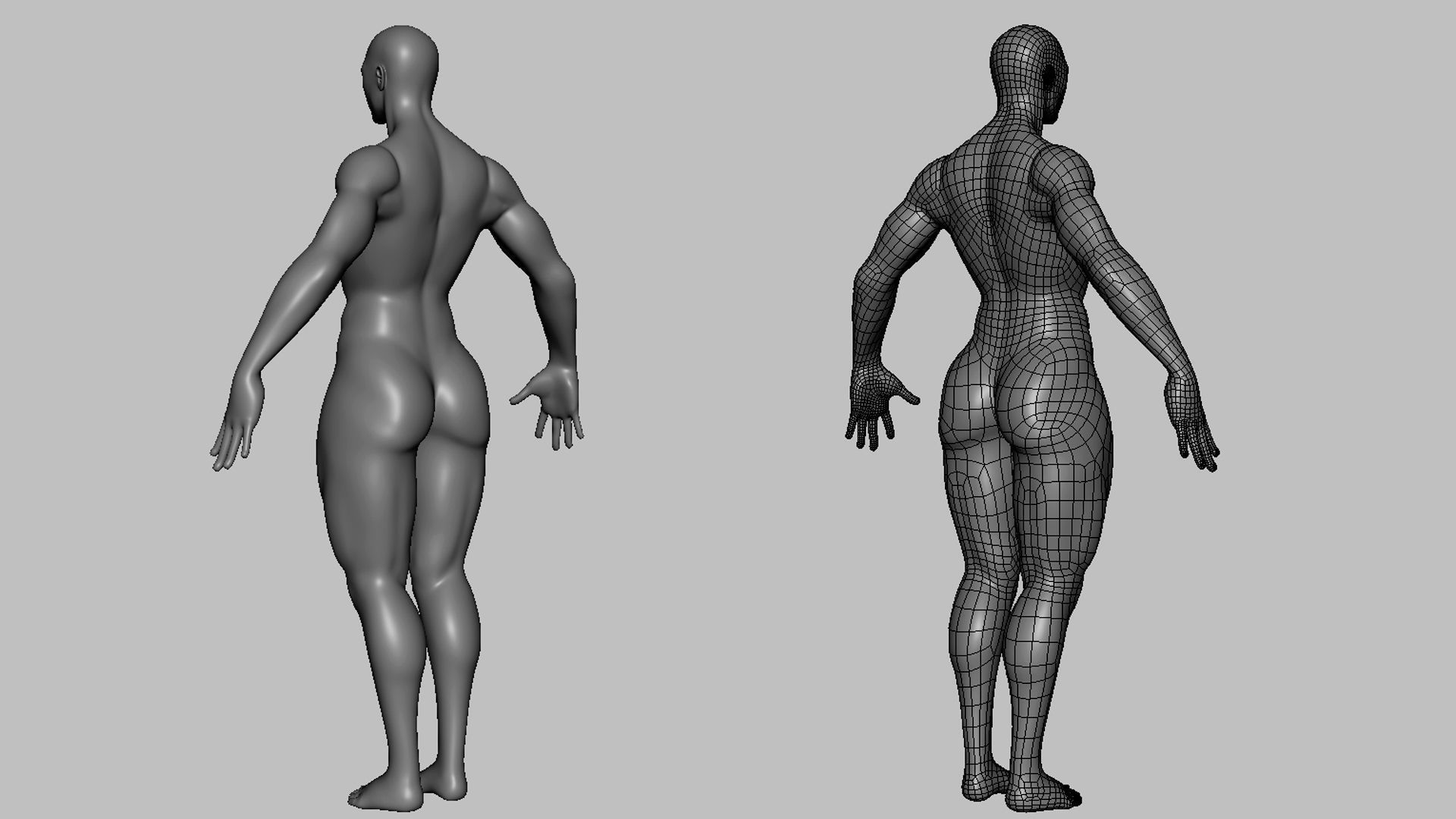 Muscular Male n Female Basemesh 3D Model Collection_5