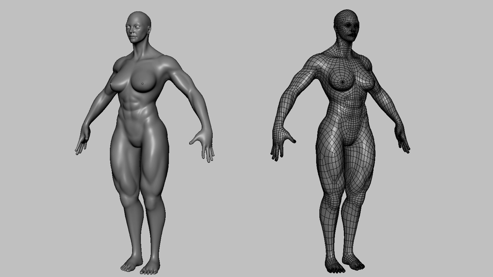 Muscular Male n Female Basemesh 3D Model Collection_3