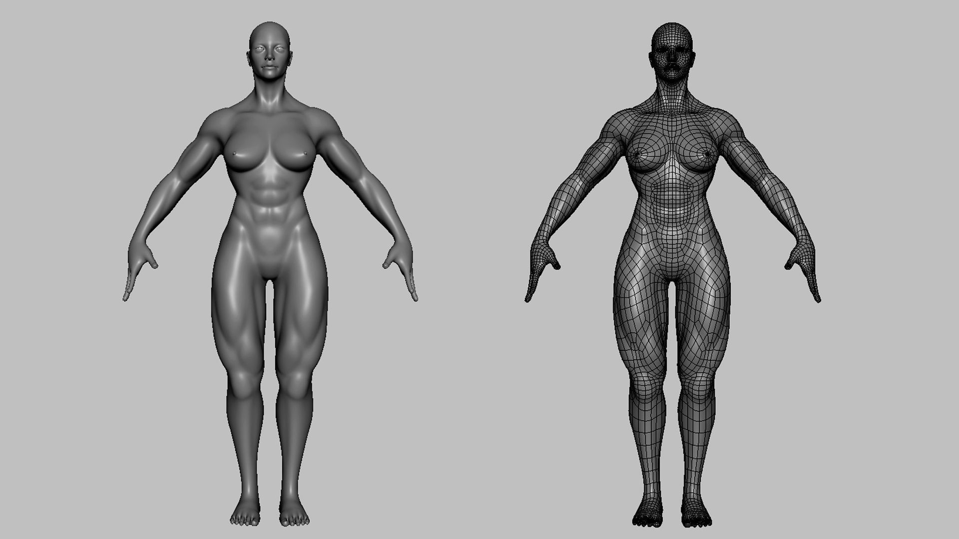 Muscular Male n Female Basemesh 3D Model Collection_6